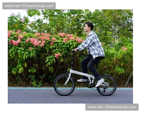 风与轮：骑上自行车，遇见更好的城市生活